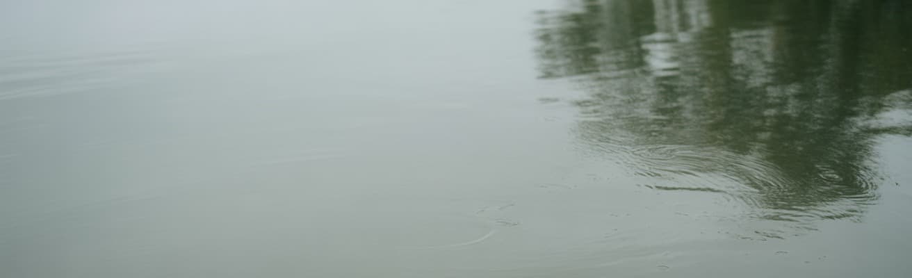 Still water reflecting a misty sky